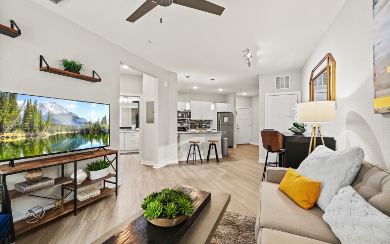 Stylish Apartment Features